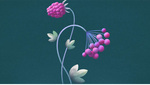 Xs_avatar