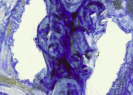S_avatar