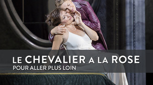 L_focus-chevalier-a-la-rose