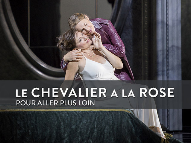 Xl_focus-chevalier-a-la-rose