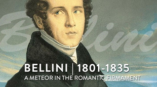 L_bio_bellini_en