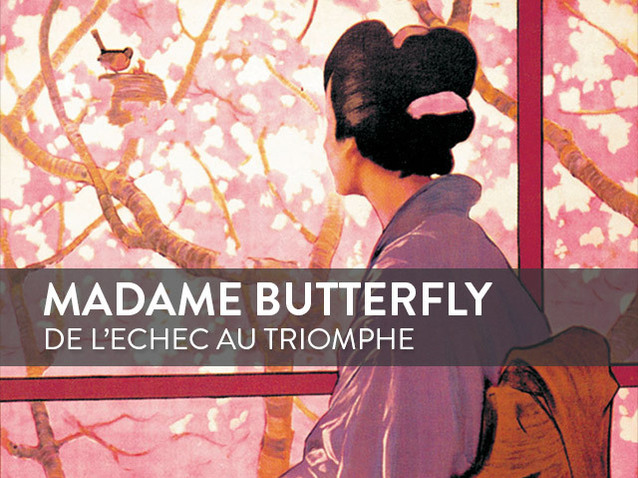 Xl_madame-butterfly-focus