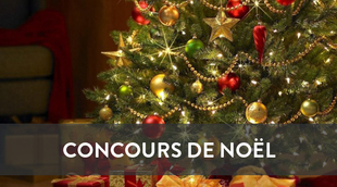 L_concours_no_l