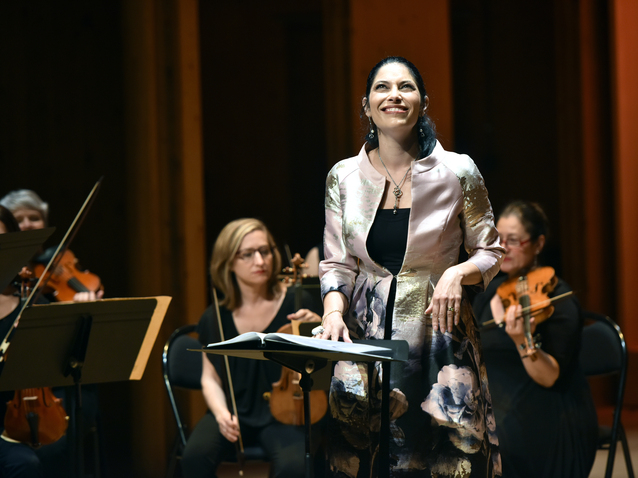 Xl_musiciens_du_louvre_0031