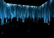 S_mg4_2862