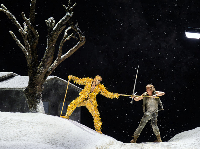 Xl_siegfried_bk_roh_175