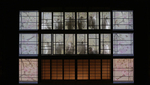 Madame Butterfly
