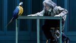 Juan Diego Flórez as Hoffmann in Damiano Michieletto's production of Offenbach's The Tales of Hoffmann, The Royal Opera ©2024 Camilla Greenwell