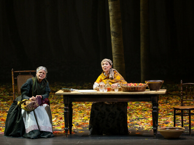 Xl_29372-eugene-oneguine-25-26-opera-de-paris-guergana-damianova-3